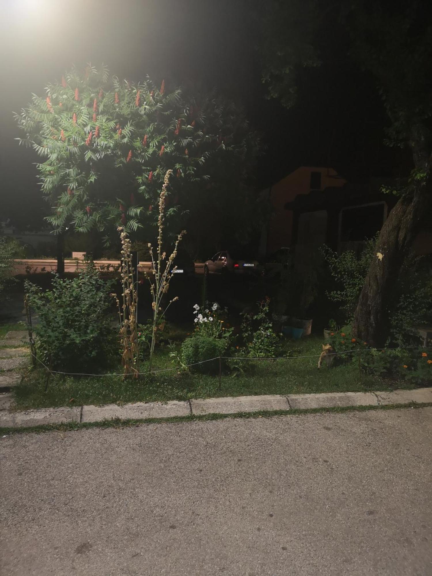 Apartman Sunny Appartement Cetinje Buitenkant foto